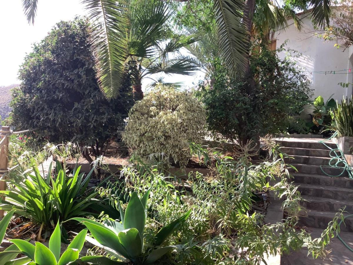 Cortijo De La Fuente Apartment Albunol Ngoại thất bức ảnh