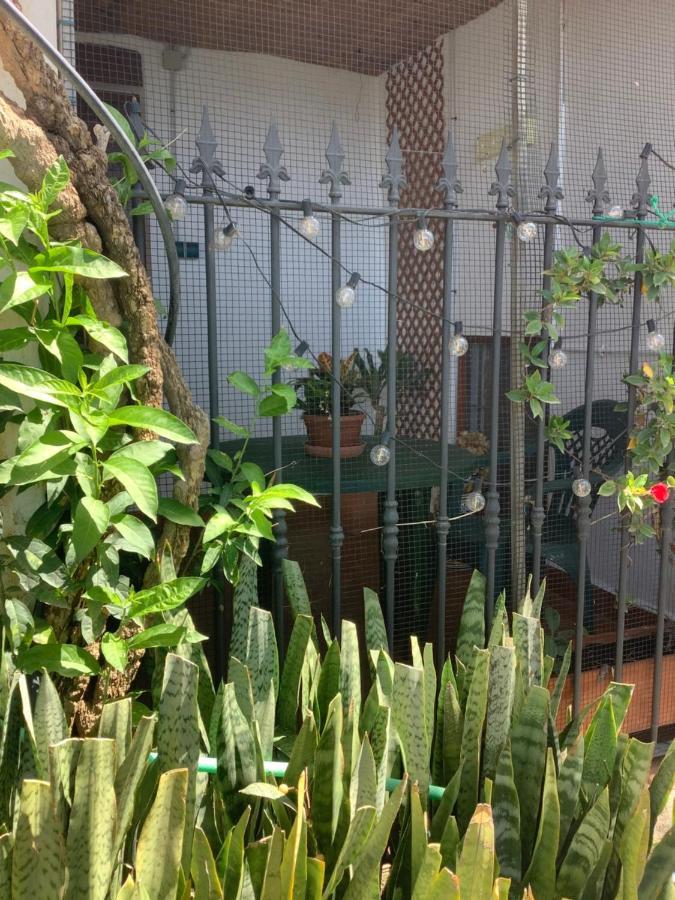 Cortijo De La Fuente Apartment Albunol Ngoại thất bức ảnh